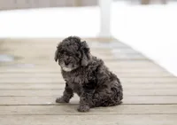 processed/bfcab699-b04f-4b4f-a696-2e7760423313/listing/73feab3d-9339-487b-b2cf-9b89ffa86d15/69e9da16-0aa8-4208-b215-76d7c186a524