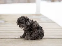 processed/bfcab699-b04f-4b4f-a696-2e7760423313/listing/73feab3d-9339-487b-b2cf-9b89ffa86d15/9fff7496-2ace-4019-b81f-d6d0088ba8ea