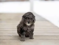 processed/bfcab699-b04f-4b4f-a696-2e7760423313/listing/73feab3d-9339-487b-b2cf-9b89ffa86d15/ecc0892e-0e1d-44e1-8b32-67e6661a81ea