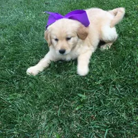 processed/bfce397e-45ab-4d08-956a-def4297153bc/facility/11baa9a8-2ff5-476e-9c8d-a153ef33dc4a