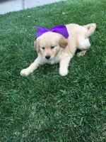 processed/bfce397e-45ab-4d08-956a-def4297153bc/facility/11baa9a8-2ff5-476e-9c8d-a153ef33dc4a