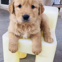 processed/bfce397e-45ab-4d08-956a-def4297153bc/facility/452bf5c5-3043-421f-8bf5-af4bdf2dc0e5