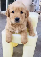 processed/bfce397e-45ab-4d08-956a-def4297153bc/facility/452bf5c5-3043-421f-8bf5-af4bdf2dc0e5