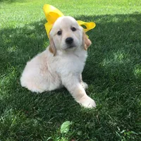 processed/bfce397e-45ab-4d08-956a-def4297153bc/facility/47553b2e-b929-4780-9862-804a3fbeb9e0