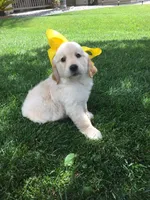 processed/bfce397e-45ab-4d08-956a-def4297153bc/facility/47553b2e-b929-4780-9862-804a3fbeb9e0