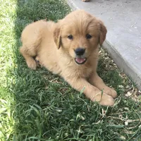 processed/bfce397e-45ab-4d08-956a-def4297153bc/facility/52ff784b-8d2d-4771-b6be-952e337ba05b