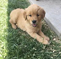 processed/bfce397e-45ab-4d08-956a-def4297153bc/facility/52ff784b-8d2d-4771-b6be-952e337ba05b