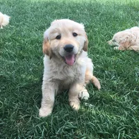 processed/bfce397e-45ab-4d08-956a-def4297153bc/facility/6d7859c7-2ca2-4c97-826e-9131400cf09c