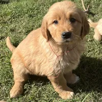 processed/bfce397e-45ab-4d08-956a-def4297153bc/facility/7c99a0d4-9f9b-4d76-9b68-3426985c7bc1