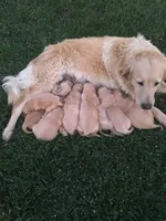 processed/bfce397e-45ab-4d08-956a-def4297153bc/facility/8af6b9ae-7088-44da-b590-32de54514cb5