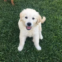 processed/bfce397e-45ab-4d08-956a-def4297153bc/facility/cbeaba79-71c1-41c5-a0e8-1af4bc004368