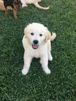 processed/bfce397e-45ab-4d08-956a-def4297153bc/facility/cbeaba79-71c1-41c5-a0e8-1af4bc004368