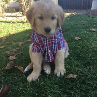 processed/bfce397e-45ab-4d08-956a-def4297153bc/facility/d6237917-56b5-4ef5-a644-254c30ba8fbf