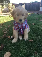 processed/bfce397e-45ab-4d08-956a-def4297153bc/facility/d6237917-56b5-4ef5-a644-254c30ba8fbf