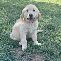 processed/bfce397e-45ab-4d08-956a-def4297153bc/facility/de2fc4a7-655c-4e65-a08a-f2073645ec94