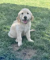 processed/bfce397e-45ab-4d08-956a-def4297153bc/facility/de2fc4a7-655c-4e65-a08a-f2073645ec94