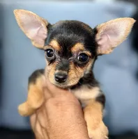 processed/bfdb0123-c916-4bf9-a81f-326520363fef/listing/604c810b-bb3f-4a32-a299-1fac036516c8/591b2a15-902a-4206-81e8-9b598df7404d