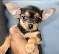 processed/bfdb0123-c916-4bf9-a81f-326520363fef/listing/604c810b-bb3f-4a32-a299-1fac036516c8/6f32fa89-121a-446e-8ff9-9dc6c7999b61