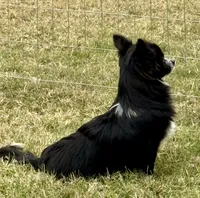 processed/bfdb0123-c916-4bf9-a81f-326520363fef/listing/a3501f58-da7b-4e93-88ce-720b815ebb72/039eb0e1-d3eb-4dcc-a792-14b542b7b849