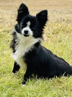 processed/bfdb0123-c916-4bf9-a81f-326520363fef/listing/a3501f58-da7b-4e93-88ce-720b815ebb72/1fd5af16-7bbb-446e-afe4-c0daaa47dba7