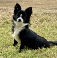 processed/bfdb0123-c916-4bf9-a81f-326520363fef/listing/a3501f58-da7b-4e93-88ce-720b815ebb72/29cd51cd-3a13-43ae-a14d-03adb6aa0824