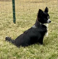 processed/bfdb0123-c916-4bf9-a81f-326520363fef/listing/a3501f58-da7b-4e93-88ce-720b815ebb72/3c95f135-7937-4eae-af98-372e333ac01b