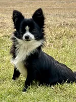 processed/bfdb0123-c916-4bf9-a81f-326520363fef/listing/a3501f58-da7b-4e93-88ce-720b815ebb72/61bbf713-57cc-425f-b963-a26b8efa95a5