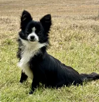 processed/bfdb0123-c916-4bf9-a81f-326520363fef/listing/a3501f58-da7b-4e93-88ce-720b815ebb72/dd0fcf92-6fbe-4c10-926b-01f95522e398