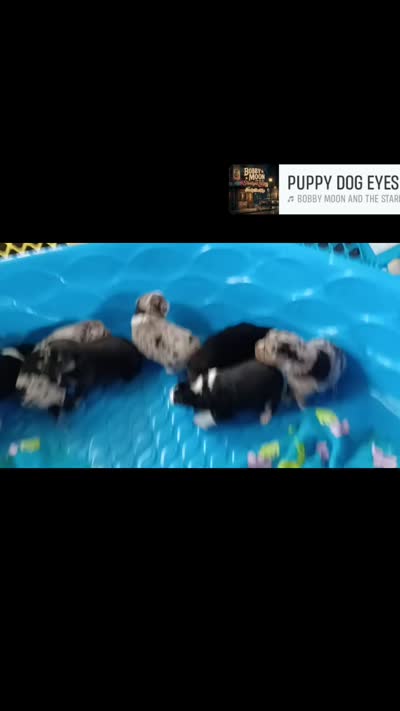 Facility video