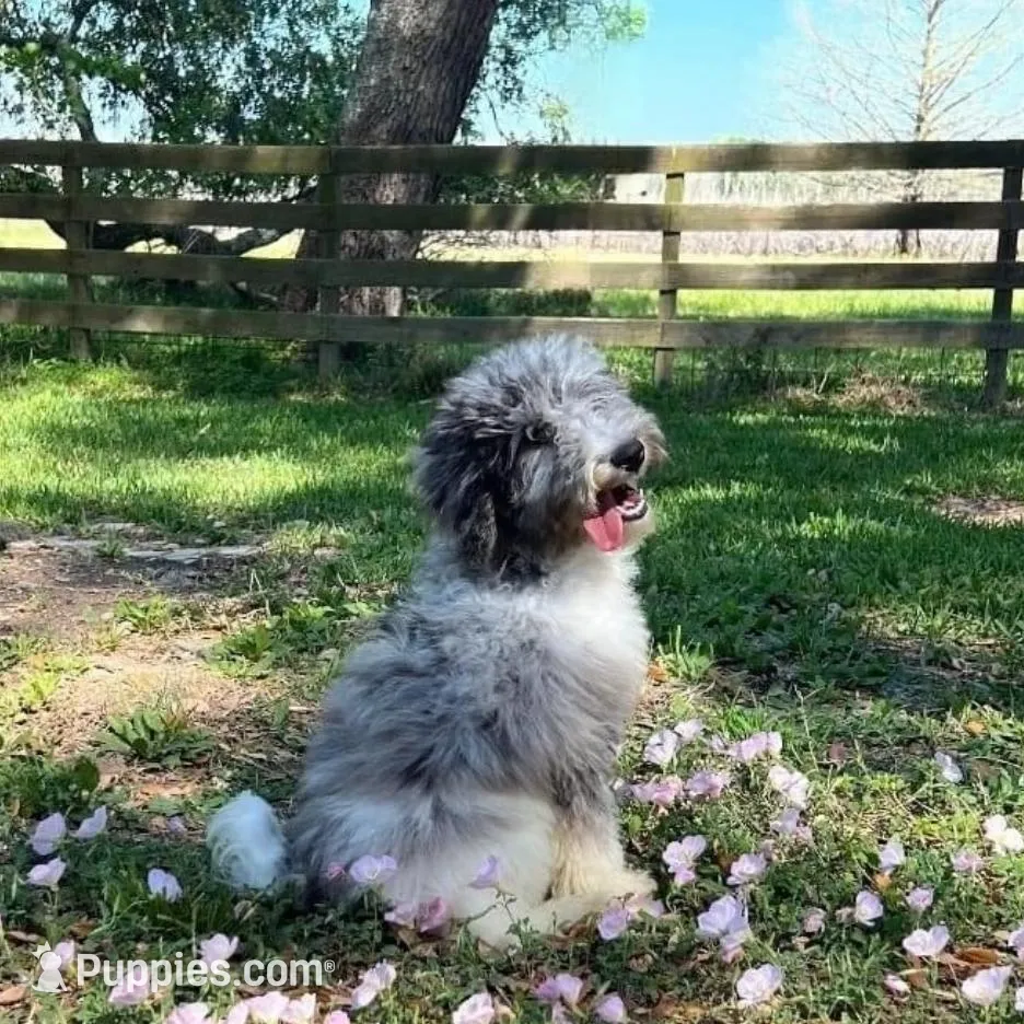 processed/bff2704d-ff01-41fa-925f-0510a611fbcb/facility/526d850d-9820-4c22-aa40-05488a5e1581