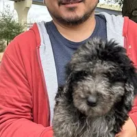 processed/bff2704d-ff01-41fa-925f-0510a611fbcb/facility/e8832201-2117-427d-8eba-2ce7276163c0