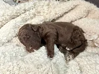 processed/bff2704d-ff01-41fa-925f-0510a611fbcb/listing/49391a00-48d6-46a9-9230-a42e2756eab8/146928af-94b8-45ee-9198-272c4a7700c1