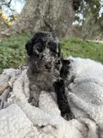 processed/bff2704d-ff01-41fa-925f-0510a611fbcb/listing/f4016026-323f-403a-995a-2fc57bee5195/1483bb07-065e-4e83-b030-225b3a6485b8