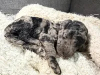 processed/bff2704d-ff01-41fa-925f-0510a611fbcb/listing/f4016026-323f-403a-995a-2fc57bee5195/dfdda015-d618-4cfc-a5d0-5b80344a50f4