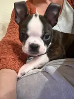 processed/bff356e7-187e-47b8-a67b-cfd4a5072b43/listing/30cf0e0e-552b-429b-aafa-334203053ab4/079634e8-8973-4612-b69d-47347a77ae29