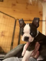 processed/bff356e7-187e-47b8-a67b-cfd4a5072b43/listing/30cf0e0e-552b-429b-aafa-334203053ab4/cea347df-057f-4e7b-a9a5-72c8d050f88e