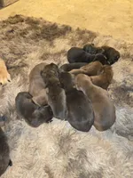 processed/bff5d2f6-d6c5-42c8-a29c-f4cacfde2087/listing/153acf05-5e1f-46e5-821a-ad2c01b8b51f/7df02e69-cbb5-4c3f-9ba5-026bf170f694