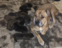 processed/bff5d2f6-d6c5-42c8-a29c-f4cacfde2087/listing/153acf05-5e1f-46e5-821a-ad2c01b8b51f/9e015eb2-ef76-4c73-ad3c-4a2fcfdd3140