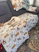 Pink Himalayan Salt, a female Labrador Retriever for sale in Wichita, KS – Photo 3 of 5