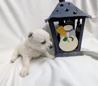 processed/c0036aec-4a9a-4e95-97d9-b937b0a341dc/listing/38ed107b-a96c-409e-a0ca-8e55a72f4eb0/1934d02e-372b-4297-9ce7-2ffb61680bb3