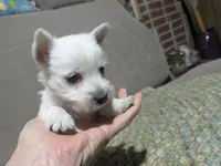 processed/c0036aec-4a9a-4e95-97d9-b937b0a341dc/listing/38ed107b-a96c-409e-a0ca-8e55a72f4eb0/193dca09-4703-471b-98ce-b4a9c76427db