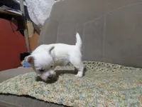 processed/c0036aec-4a9a-4e95-97d9-b937b0a341dc/listing/38ed107b-a96c-409e-a0ca-8e55a72f4eb0/1f94ca76-9979-4049-8c33-fbc675e86438