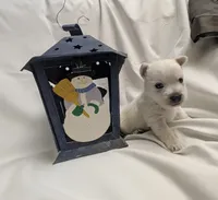 processed/c0036aec-4a9a-4e95-97d9-b937b0a341dc/listing/38ed107b-a96c-409e-a0ca-8e55a72f4eb0/3f1ec32c-c85e-413d-a624-f4f93b8c2411