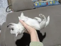 processed/c0036aec-4a9a-4e95-97d9-b937b0a341dc/listing/38ed107b-a96c-409e-a0ca-8e55a72f4eb0/59f23907-50c3-42b8-beb1-a40d8430f46d