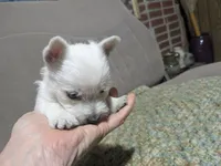 processed/c0036aec-4a9a-4e95-97d9-b937b0a341dc/listing/38ed107b-a96c-409e-a0ca-8e55a72f4eb0/6d6d499a-51ec-49d0-a5a9-ff2626589874