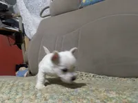 processed/c0036aec-4a9a-4e95-97d9-b937b0a341dc/listing/38ed107b-a96c-409e-a0ca-8e55a72f4eb0/d7a8deed-ec5f-45f1-aada-780a79d9d506