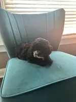 processed/c00517df-2c3f-4f63-ac96-b044d16a8b44/listing/884a4e06-4ba2-4883-9bdf-12f0ee374fd8/0f0042fd-ba29-4f31-857a-994f4fdc1176