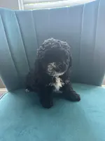 processed/c00517df-2c3f-4f63-ac96-b044d16a8b44/listing/884a4e06-4ba2-4883-9bdf-12f0ee374fd8/1646dfb8-2724-4746-afa5-b9a5efab8d06