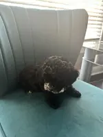 processed/c00517df-2c3f-4f63-ac96-b044d16a8b44/listing/884a4e06-4ba2-4883-9bdf-12f0ee374fd8/300f1420-c7de-4208-a8f2-edca3f0e4145