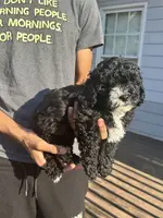 processed/c00517df-2c3f-4f63-ac96-b044d16a8b44/listing/884a4e06-4ba2-4883-9bdf-12f0ee374fd8/352d10e9-0c91-417b-ac93-0306d9fe56cc